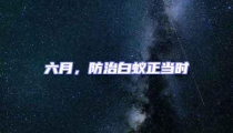 六月,防治白蟻正當(dāng)時