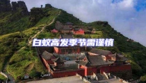 白蟻高發季節需謹慎
