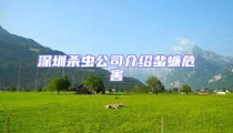 深圳殺蟲公司介紹蜚蠊危害