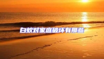 白蟻對家庭破壞有那些