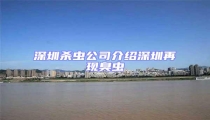 深圳殺蟲公司介紹深圳再現臭蟲