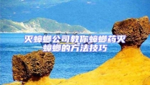 滅蟑螂公司教你蟑螂藥滅蟑螂的方法技巧