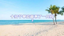 十多個單位管不了一只蚊?