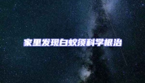 家里發(fā)現白蟻須科學根治