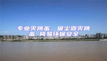 專業(yè)滅跳蚤,吸塵器滅跳蚤 簡易環(huán)保安全