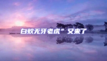 白蟻無牙老虎”又來了
