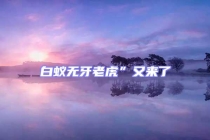 白蟻無(wú)牙老虎”又來(lái)了