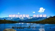 蟑螂鉆進耳朵,小心失聰
