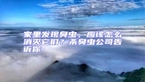 家里發現臭蟲,應該怎么消滅它們?殺臭蟲公司告訴你