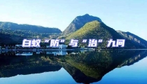白蟻“防”與“治”九問