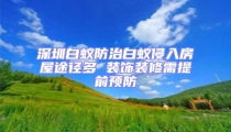 深圳白蟻防治白蟻侵入房屋途徑多 裝飾裝修需提前預防