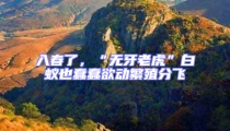 入春了,“無牙老虎”白蟻也蠢蠢欲動繁殖分飛