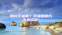 如何滅蟑螂?滅蟑螂的方法送給您!