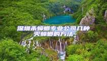 深圳殺蟑螂專業公司幾種滅蟑螂的方法