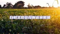 白蟻王后會控制近親繁殖