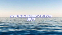家中驅(qū)除蟑螂蚊子螞蟻小竅門