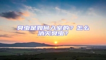 臭蟲是如何入室的？怎么消滅臭蟲？
