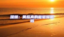 深圳:黃瓜真的能驅(qū)蟑螂嗎