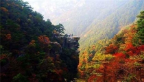 各種蚊蟲如蜱蟲、恙螨、跳蚤、臭蟲等咬后的癥狀(三)