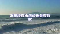 發現沒有木結構也會有白蟻