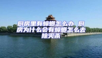廚房里有蟑螂怎么辦 廚房為什么會有蟑螂怎么去除滅殺
