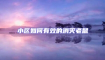 小區(qū)如何有效的消滅老鼠