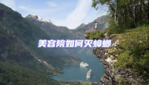美容院如何滅蟑螂