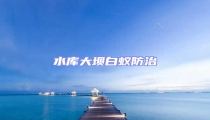 水庫大壩白蟻防治