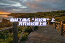 臨時(shí)工棚成“螞蟻窩”上萬(wàn)只螞蟻爬上床