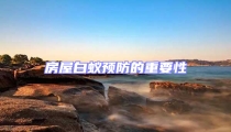 房屋白蟻預防的重要性