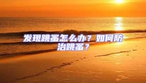 發現跳蚤怎么辦?如何防治跳蚤?