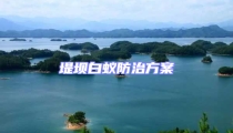 堤壩白蟻防治方案