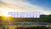 深圳除蟲公司為您剖析如何更有效的消滅老鼠