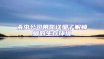 殺蟲公司帶你詳細了解蟑螂的生存環境