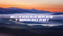 被紅火蟻咬傷該如何處理?如何防治紅火蟻?