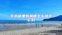 下水道里有蟑螂怎么消滅它們