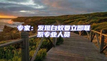 專(zhuān)家:發(fā)現(xiàn)白蟻要立即聯(lián)系專(zhuān)業(yè)人員