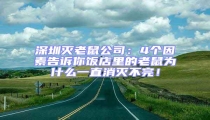 深圳滅老鼠公司:4個因素告訴你飯店里的老鼠為什么一直消滅不完!