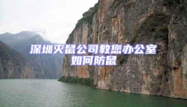 深圳滅鼠公司教您辦公室如何防鼠