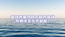 豬場養(yǎng)貓可以滅鼠嗎豬場究竟該怎么滅鼠呢？