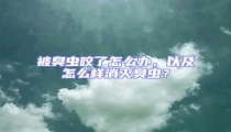 被臭蟲咬了怎么辦,以及怎么樣消滅臭蟲?