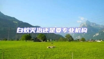 白蟻滅治還是要專業(yè)機構(gòu)