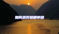 如何消滅蟑螂卵翹
