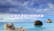 文物古建筑白蟻的危害