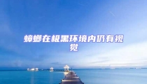 蟑螂在極黑環境內仍有視覺