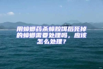用蟑螂藥殺蟑膠餌后死掉的蟑螂需要處理嗎，應該怎么處理？
