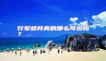 行軍蟻并真的那么可怕嗎?