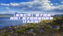 【殺蟲公司】虱子跳蚤一樣嗎?虱子和跳蚤到底有什么區別?