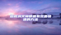 徹底消滅蟑螂最有效最快速的方法