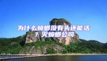 為什么蟑螂沒有頭還能活?滅蟑螂公司